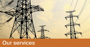 Power systems services